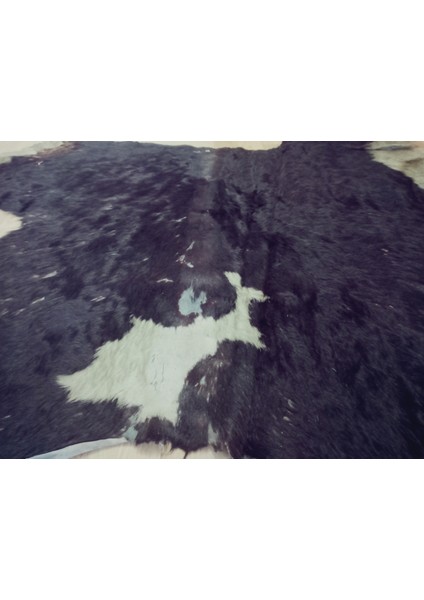 Doğal Işlenmemiş Hakiki Derisi Dana Postu Halı Yolluk