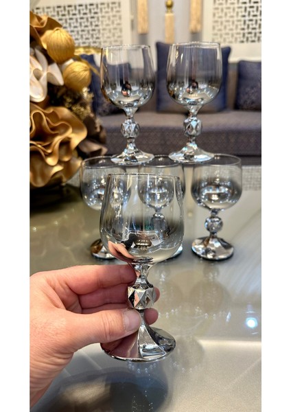 Bohemıa Kristal Titanyum Gümüş Renk Kahve Yanı Su Bardağı 150 cc modelleri