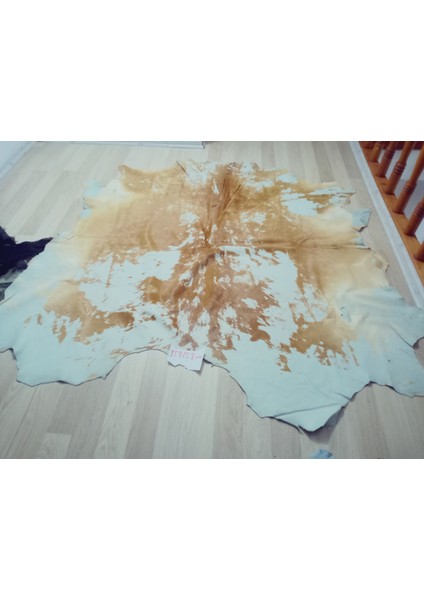 Doğal Işlenmemiş Hakiki Derisi Dana Postu Halı Yolluk indirimleri