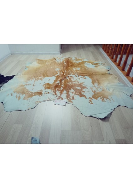 Doğal Işlenmemiş Hakiki Derisi Dana Postu Halı Yolluk