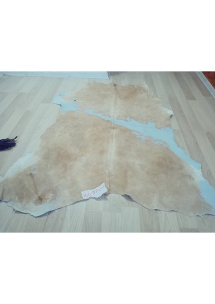 Doğal Işlenmemiş Hakiki Derisi Dana Postu Halı Yolluk modelleri