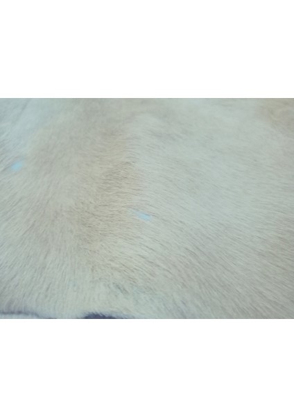 Doğal Işlenmemiş Hakiki Derisi Dana Postu Halı Yolluk indirimleri