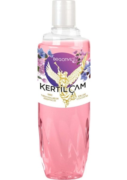 Begonvil Kolonyası 400 cc