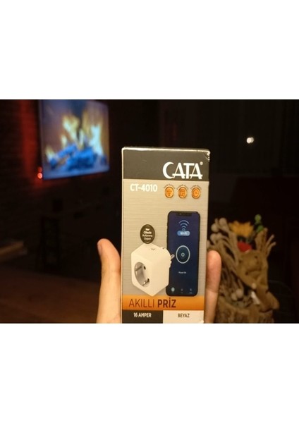 CT-4010 Akıllı Priz modelleri