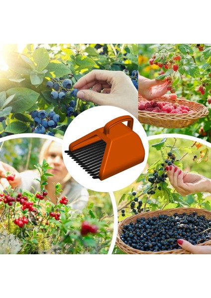 Blue Berry , Aronya , Kuşburnu ve Meyve Toplama Tarağı Plastik Bsr Garden modelleri