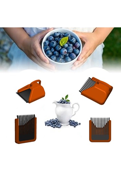 Blue Berry , Aronya , Kuşburnu ve Meyve Toplama Tarağı Plastik Bsr Garden fırsatları