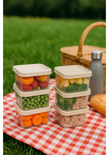 6'lı 250ML Dikdörtgen Derin Dondurucu Saklama Kabı Set Buzluk Mikrodalga Gıda Krem Plastik Kap fiyatları