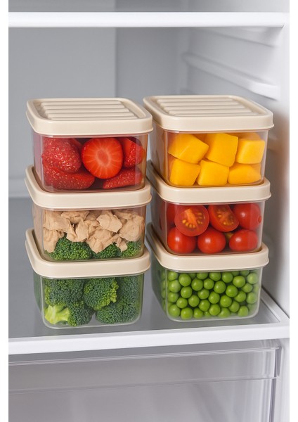 6'lı 250ML Dikdörtgen Derin Dondurucu Saklama Kabı Set Buzluk Mikrodalga Gıda Krem Plastik Kap modelleri