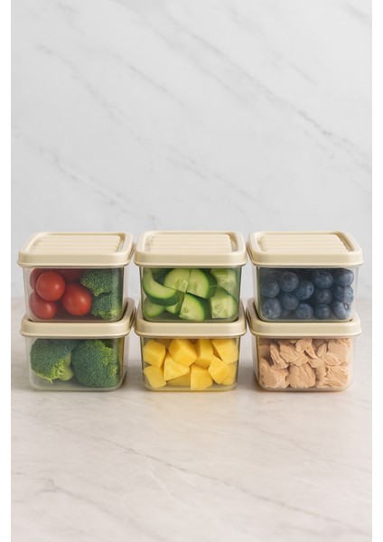 6'lı 250ML Dikdörtgen Derin Dondurucu Saklama Kabı Set Buzluk Mikrodalga Gıda Krem Plastik Kap fırsatları