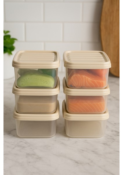 6'lı 250ML Dikdörtgen Derin Dondurucu Saklama Kabı Set Buzluk Mikrodalga Gıda Krem Plastik Kap