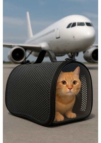 Kedi ve Köpek Taşıma Çantası (Uçak Izinli) 10 kg (42X31X24 Cm) Kedi Çantası fırsatları