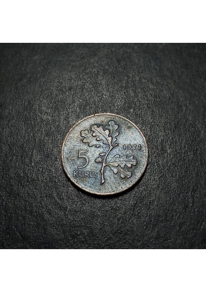 Escoines 3996368734321A6E5C 1971 Bronz 5 Kuruş Para fiyatları