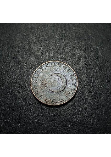 Escoines 3996368734321A6E5C 1971 Bronz 5 Kuruş Para modelleri