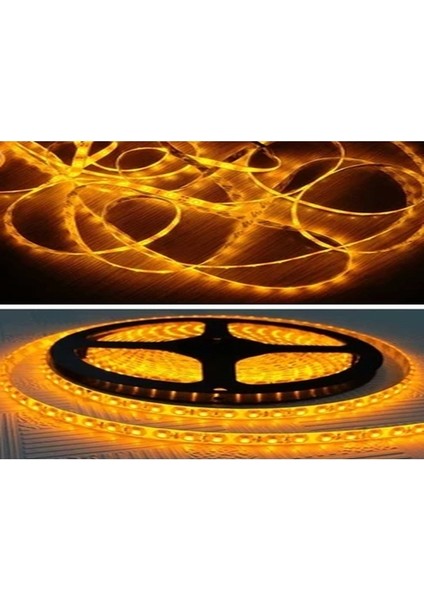 CT-4538 Gold 240 Led’li Iç Mekan Şerit LED 5m Günışığı fırsatları