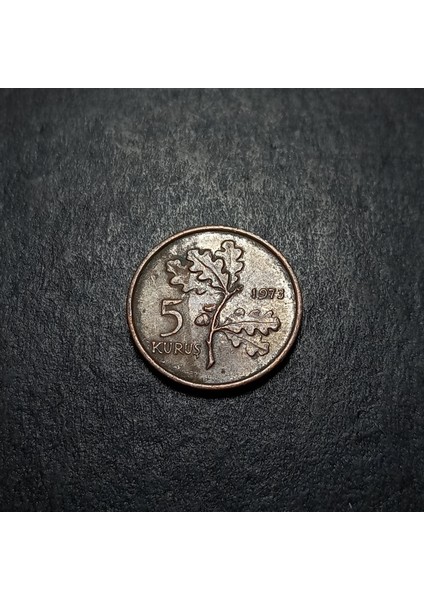 Escoines 399636873420EE80BA 1973 Bronz 5kuruş Para fırsatları