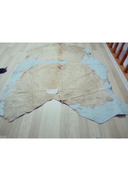 Doğal Işlenmemiş Hakiki Derisi Dana Postu Halı Yolluk