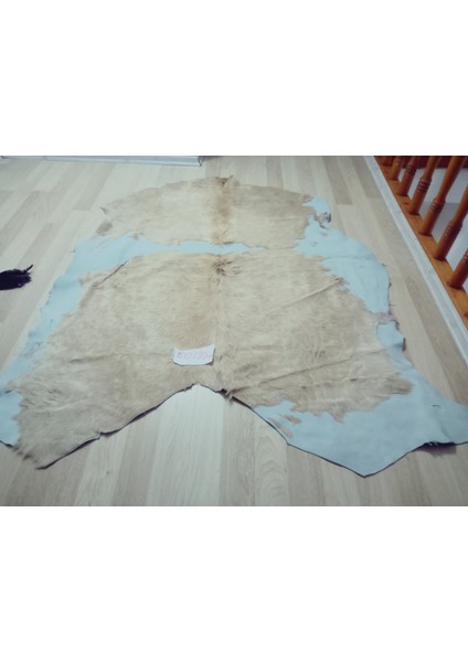 Doğal Işlenmemiş Hakiki Derisi Dana Postu Halı Yolluk indirimleri