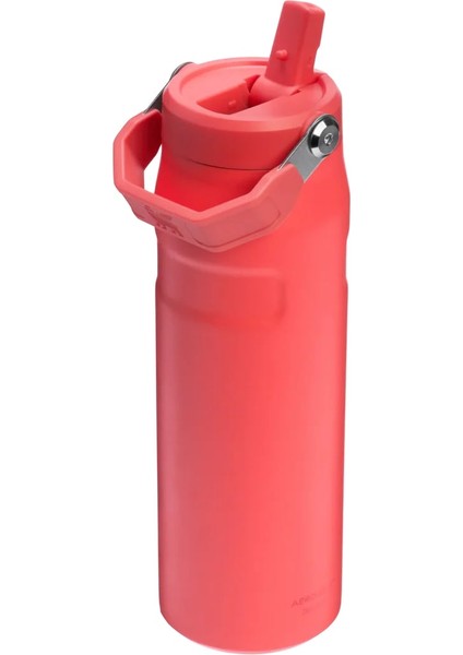 The Iceflow™ Bottle Flip Straw 2.0 / 24OZ Termos 0.07L 10-11283-178 fiyatları