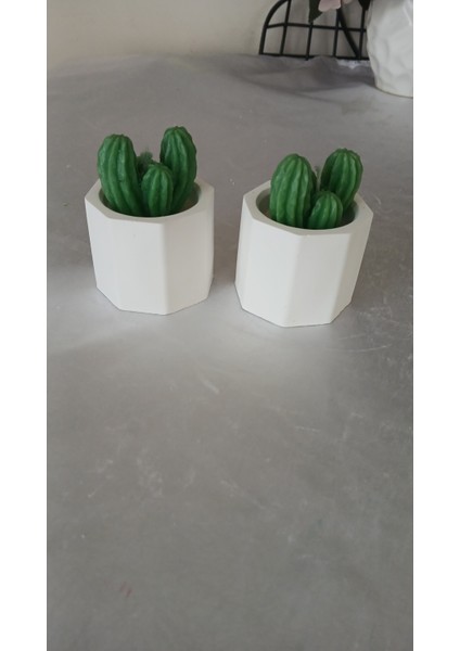 3 Lü Mini Kaktüs Mum, Mumluk Seti fiyatları