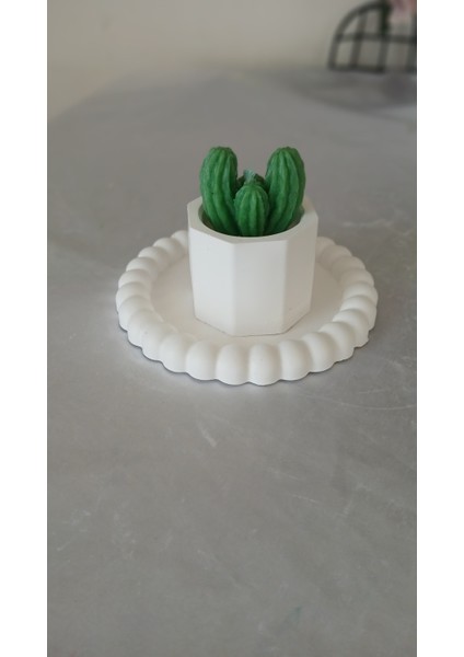 3 Lü Mini Kaktüs Mum, Mumluk Seti modelleri