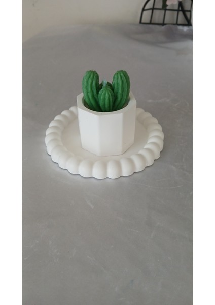 3 Lü Mini Kaktüs Mum, Mumluk Seti