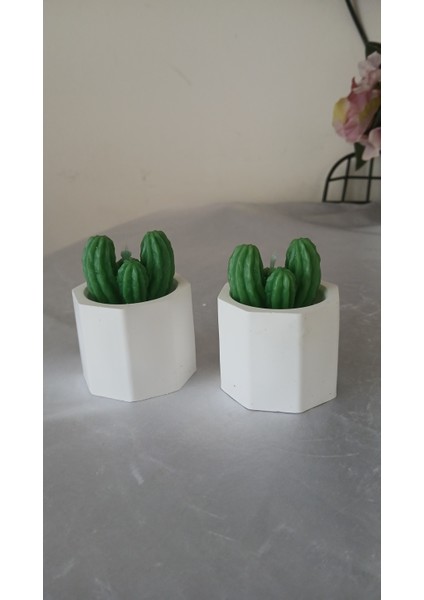 3 Lü Mini Kaktüs Mum, Mumluk Seti