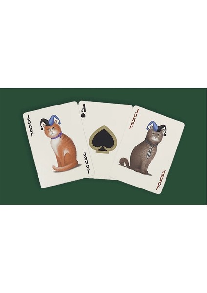 Poker Cats Premium Oyun Kağıdı Iskambil Kartları Destesi fırsatları