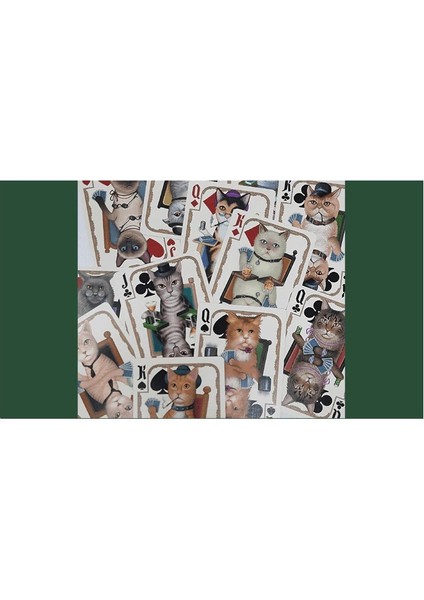 Poker Cats Premium Oyun Kağıdı Iskambil Kartları Destesi indirimleri