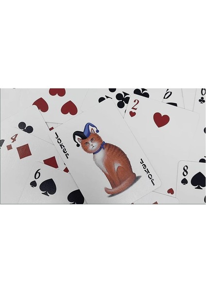 Poker Cats Premium Oyun Kağıdı Iskambil Kartları Destesi