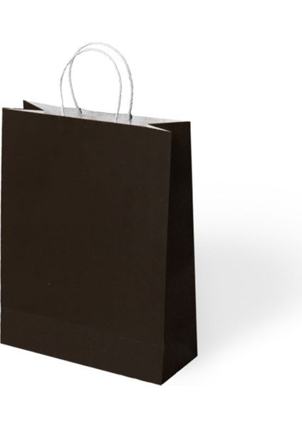Büküm Saplı Kağıt Çanta Siyah 25X12X31 24 Lü