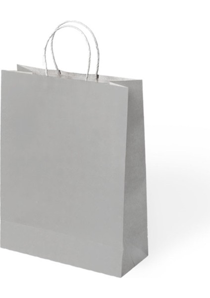 Büküm Saplı Kağıt Çanta Gümüş 18X8X24 24 Lü
