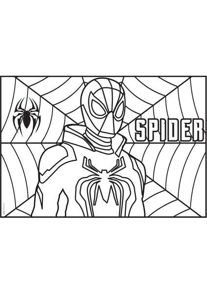 Boyama Aktiviteli Parti Sunumu 8li Spider modelleri