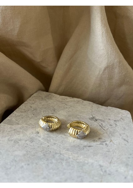 Sıralı Taşlı Küpe fiyatları