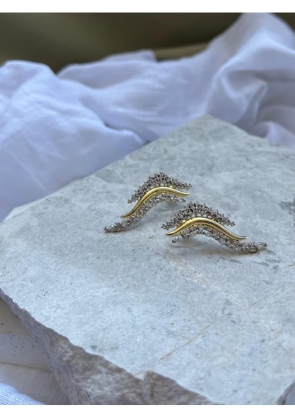 Su Yolu ve Taş Desenli Küpe fiyatları