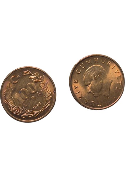 1993 Yılı Ters Düz Takım Çil
