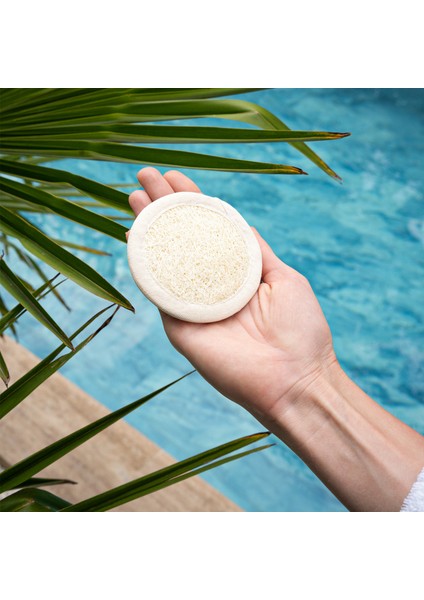 Doğal Kabak Lifi 3’lü Banyo Seti Eldiven Kese, Sırt Lifi, Yüz Peeling Pedi, Kadın & Erkek