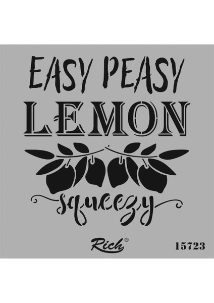 15723 Stencil 25X25 cm