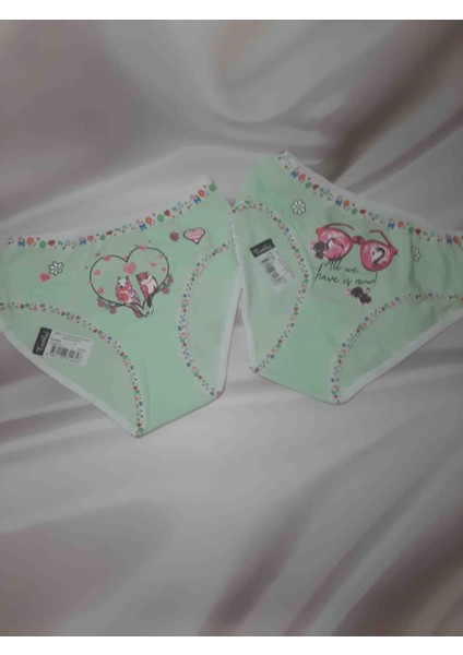 Kiz Çocuk Elastan Önü Baskılı Bato Rahat Kullanışlı Külot 2'li