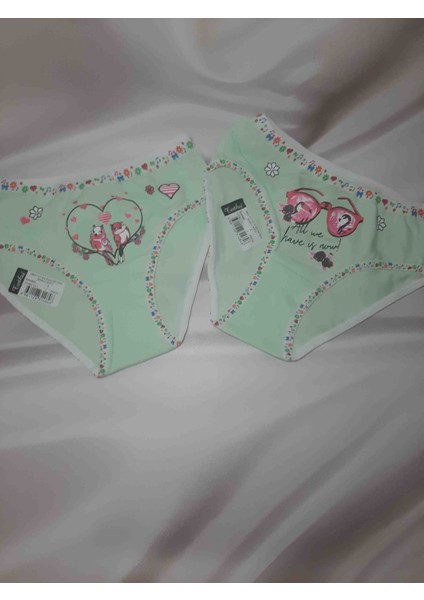 Kiz Çocuk Elastan Önü Baskılı Bato Rahat Kullanışlı Külot 2'li fırsatları