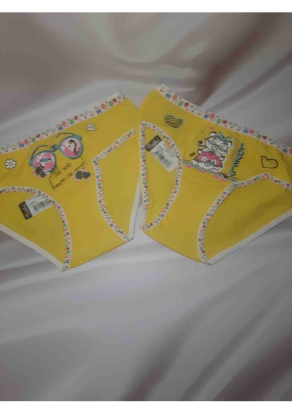 Kiz Çocuk Elastan Önü Baskılı Bato Rahat Kullanışlı Külot 2'li