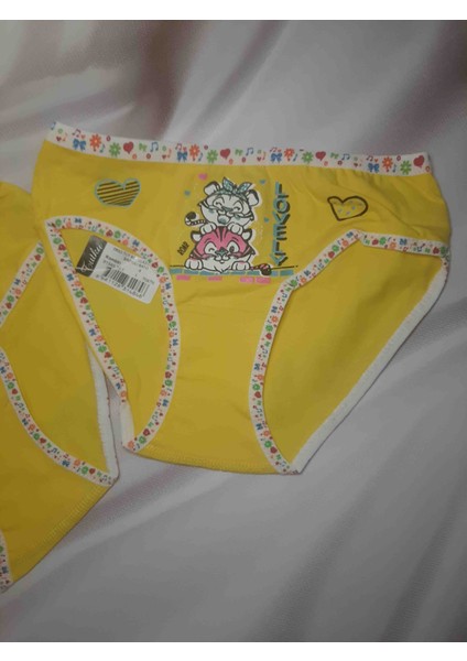 Kiz Çocuk Elastan Önü Baskılı Bato Rahat Kullanışlı Külot 2'li modelleri