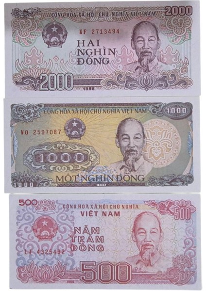 Vietnam 3 Lü Set Çil