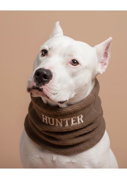 Isme Özel Köpek Kıyafeti Köpek Polar Boyun Koruyucu Köpek Bandana Köpek Boyunluk Köpek Atkısı Kışlık