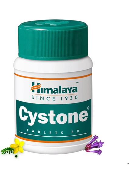 Cystone 60 Tablet