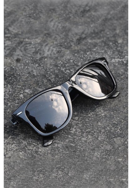 Wayfarer Kadın Parlak Güneş Gözlüğü fiyatları