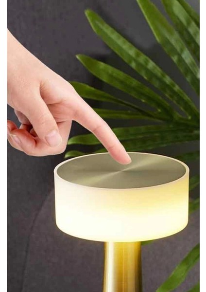 Cata Ct 8436 Denver Şarjli Masa Lambası 3 Renk fiyatları