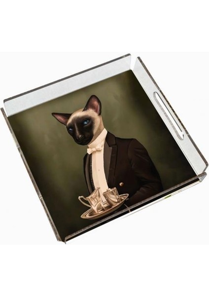 Mr. Cat Pleksi Tepsi - 25X25CM fiyatları