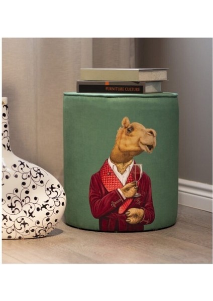 Mr. Camel Puf fiyatları