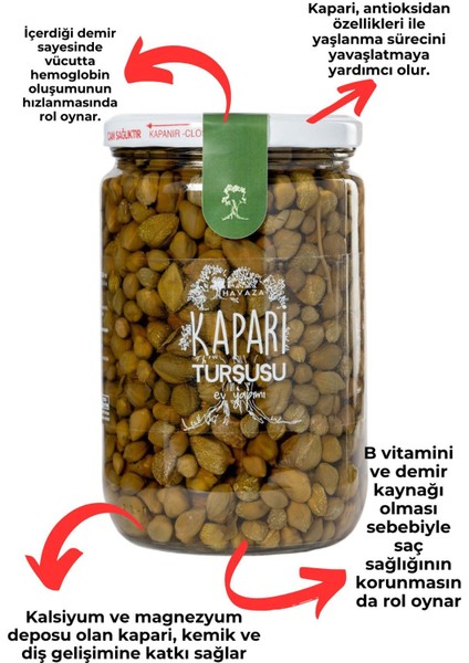 Kapari Turşusu 720 gr Türkiye Üretimi Doğal Katkısız Küçük Tomurcuk Ev Yapımı Lezzet modelleri