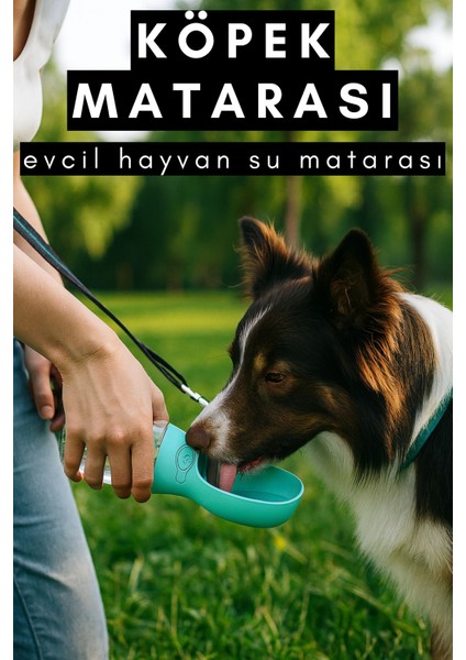 Taşınabilir Köpek Su Matarası Evcil Hayvan Su Matarası 350ML Casapetra